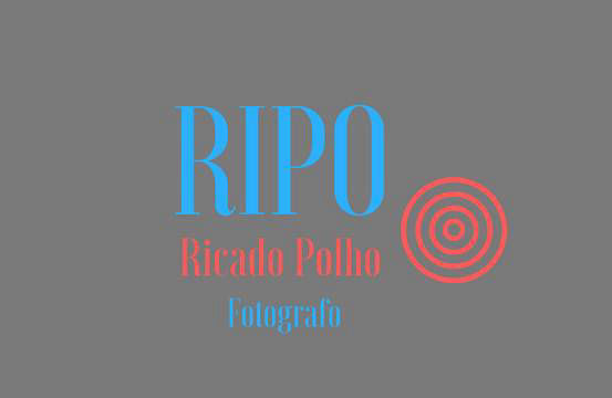 RiPo Logo InformLab